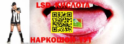 apvp Беслан