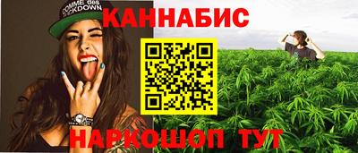 мяу мяу мука Аргун