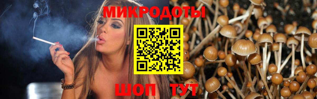 Псилоцибиновые грибы Cubensis Астрахань